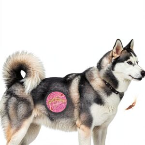 Parasitology Kindle Book English Language Veterinary-0