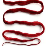 Reaktion Books Parasitology Kindle English Science-0