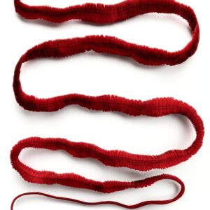 Reaktion Books Parasitology Kindle English Science-0