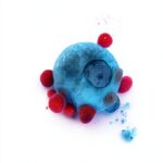 Medical Parasitology Atlas Kindle Edition English Print-0