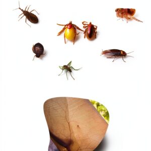 Tropical Medicine Kindle Book Parasitology Students-0