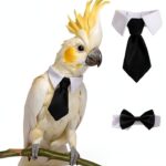 Parrot Collar TTFdacai Cotton Lightweight Bird Accessory-0