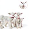 HOFURME Goat Collar Bell Adjustable Nylon Small Animal-4