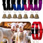 HOFURME Goat Collar Bell Adjustable Nylon Small Animal-0