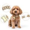 Gold Dog Collar Macuezu Metal Zirconia Small Pet Accessory-2
