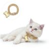 Gold Dog Collar Macuezu Metal Zirconia Small Pet Accessory-5