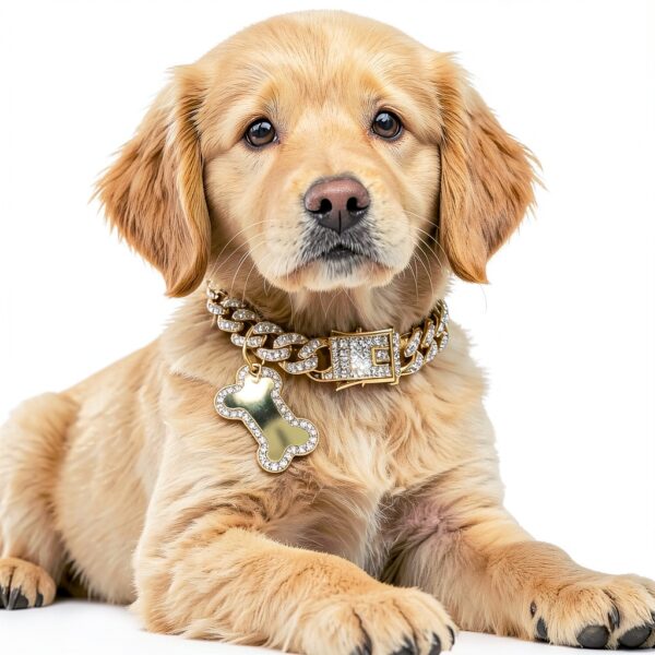 Gold Dog Collar Macuezu Metal Zirconia Small Pet Accessory-4