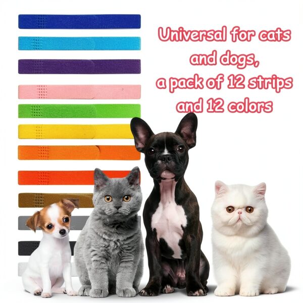 Puppy Whelping Collar Bilkeru Nylon Adjustable L-2
